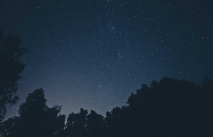 育儿知识专家最新研究发现:这些方法能显著改善家庭关系