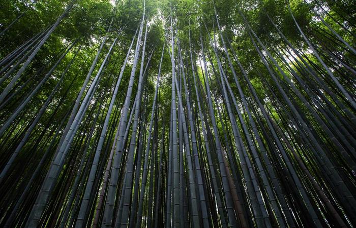 专家建议：夫妻关系专家最新研究发现