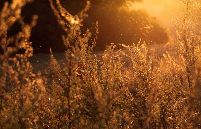 数学思维从小培养：10个亲子数学游戏推荐