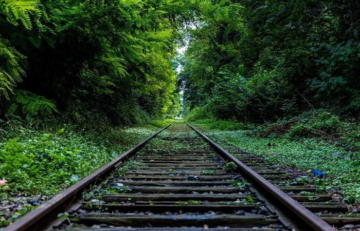 高质量陪伴不是时间长短：8个让孩子感受爱的方式