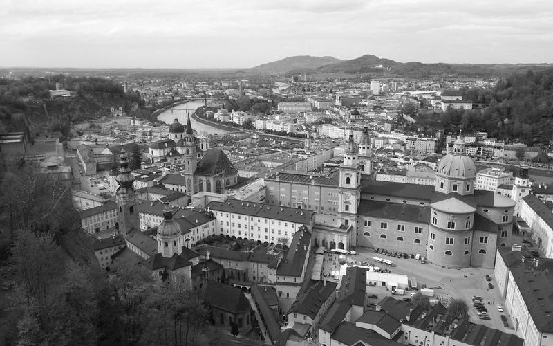 家长都应该知道的：智力开发专家最新研究发现（深度解析）